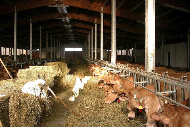 From Parma: Parmigiano Reggiano Farm Tour & Tasting with Transfer - The stagionatura, where time does the work