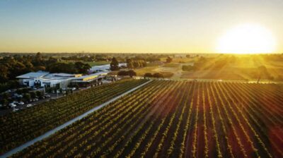 From Perth: Swan Valley Cruise, Winery, Cheese & Lunch