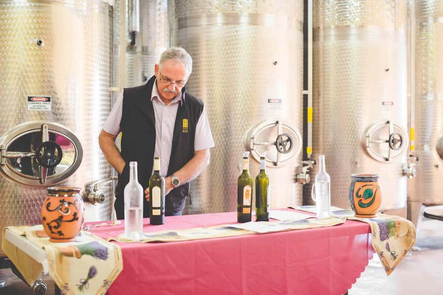 From Sydney: Award-Winning Hunter Valley Wine & Cheese Tour - Why this Hunter Valley tour works from Sydney