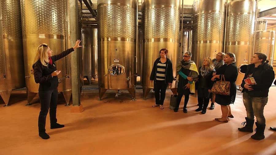 From Sydney: Award-Winning Hunter Valley Wine & Cheese Tour - The early Sydney pickup requires care
