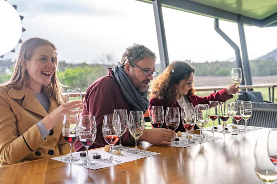 From Sydney: Award-Winning Hunter Valley Wine & Cheese Tour - Crossing the Harbour Bridge and heading north
