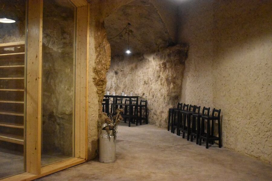 From Valencia: Guided Cheese Factory Tour with Wine Tasting - From cheese to the Vera de Estenas winery