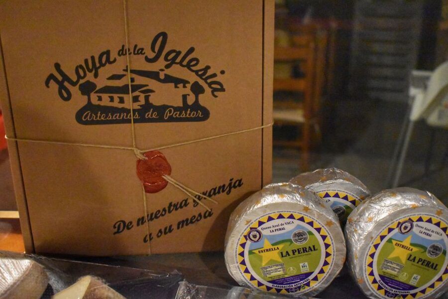 From Valencia: Guided Cheese Factory Tour with Wine Tasting - What the seven-hour schedule feels like
