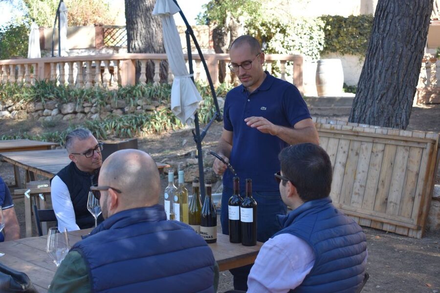 From Valencia: Guided Cheese Factory Tour with Wine Tasting - Who will enjoy this day most