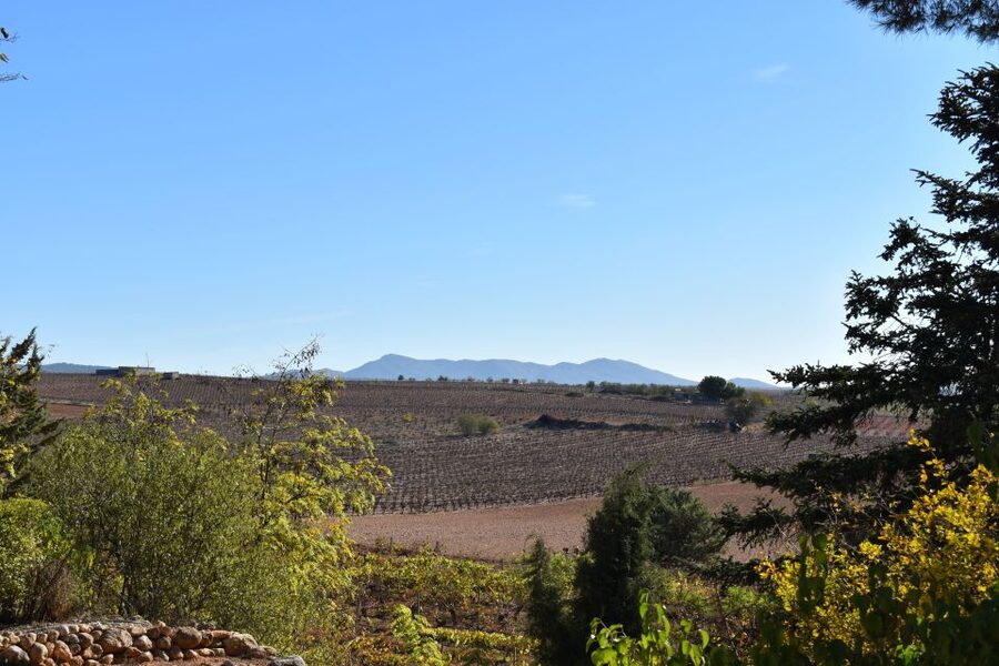 From Valencia: Guided Cheese Factory Tour with Wine Tasting - Should you book the Utiel-Requena cheese and wine tour?