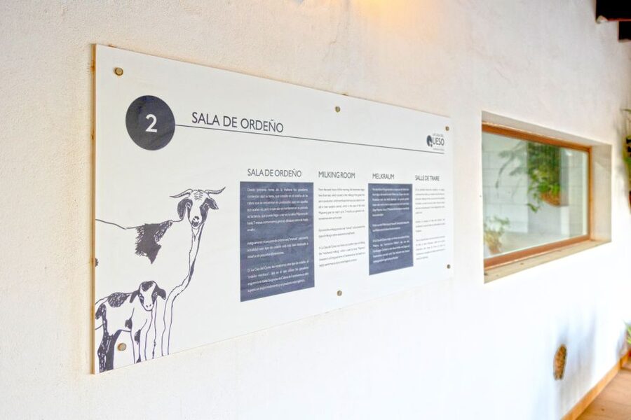 Fuerteventura: Artisan Goat's Cheese Making at Local Farm - Learning to milk by hand and machine
