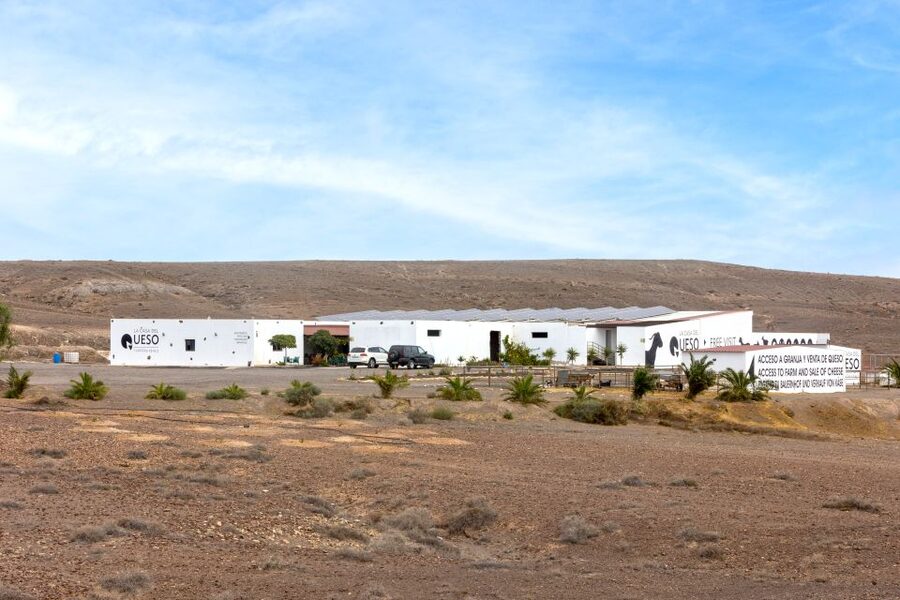Fuerteventura: Artisan Goat's Cheese Making at Local Farm - How this compares with a normal cheese tasting