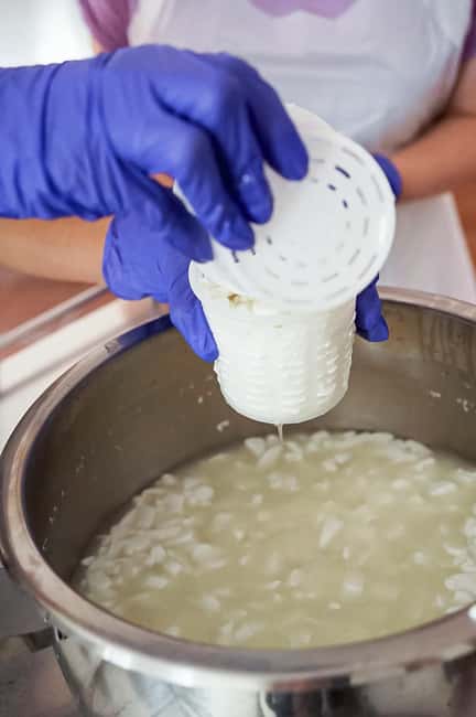Fuerteventura Goat Cheese Workshop with Transfer from the South - Key points at a glance