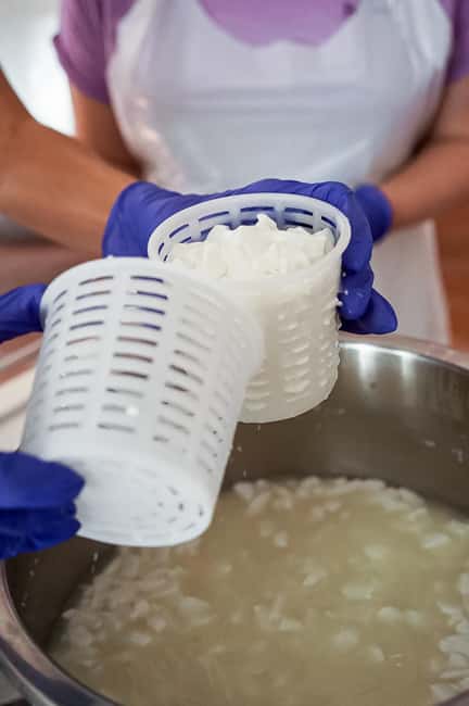 Fuerteventura Goat Cheese Workshop with Transfer from the South - Why this farm visit feels different from a standard tasting