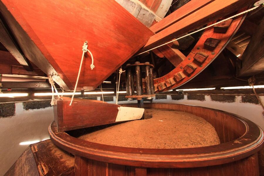 Fuerteventura: Tickets to Salt, Cheese and Windmill Museums - FAQ