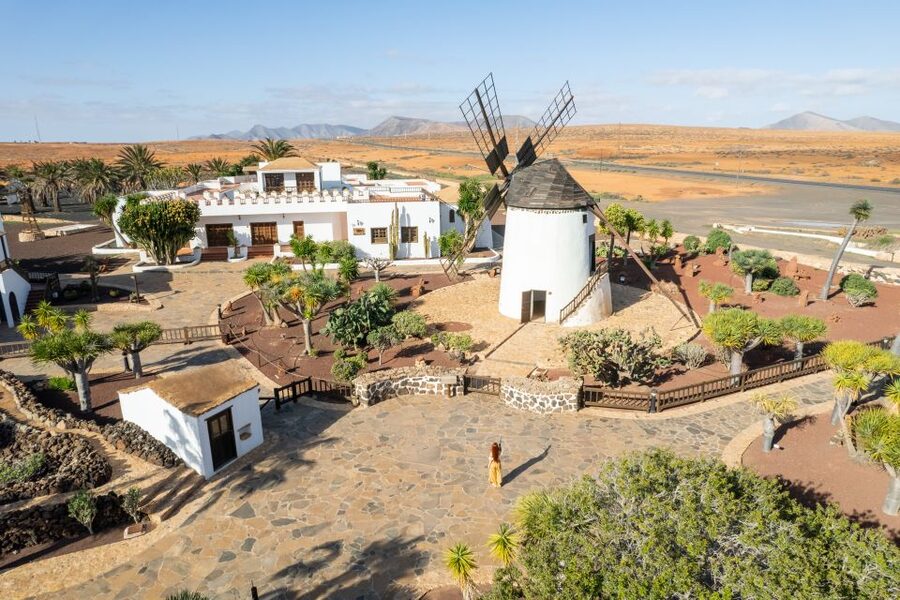 Fuerteventura: Tickets to Salt, Cheese and Windmill Museums - The Windmill Center and the Taste of Gofio