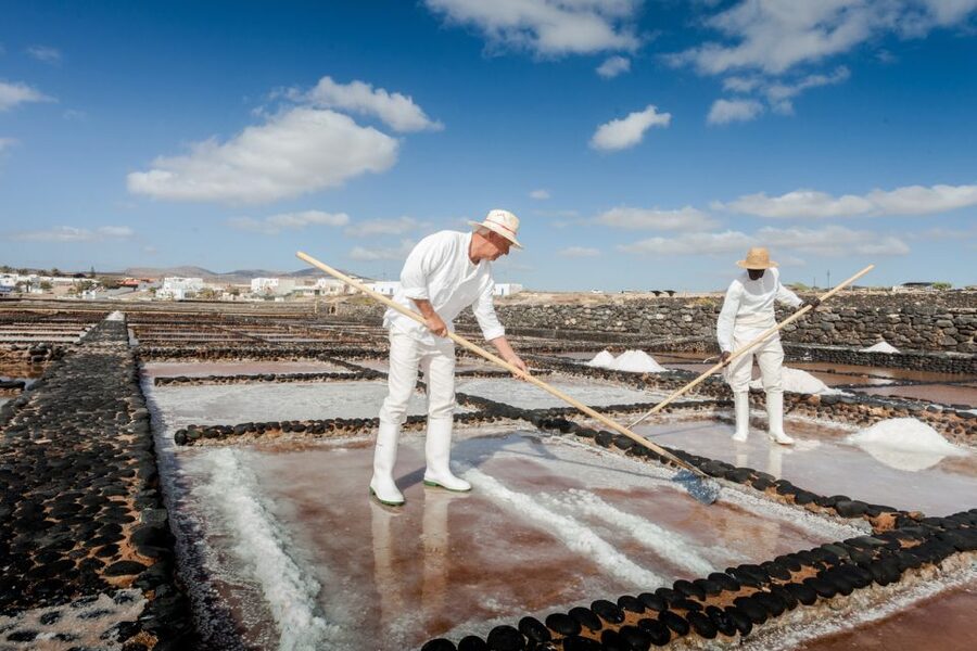 Fuerteventura: Tickets to Salt, Cheese and Windmill Museums - How to Plan the Three Stops