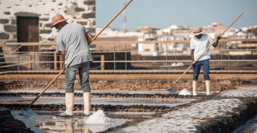 Fuerteventura: Tickets to Salt, Cheese and Windmill Museums - A Simple Visit Plan