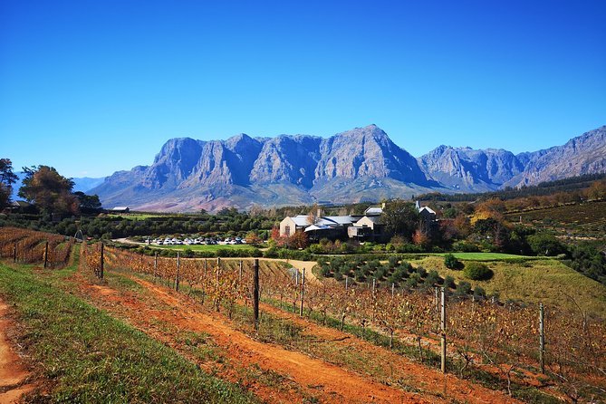 Full-Day Chocolate, Cheese, Olive and Wine Tour from Stellenbosch - La Rochelle Wine Tours and the estate visits