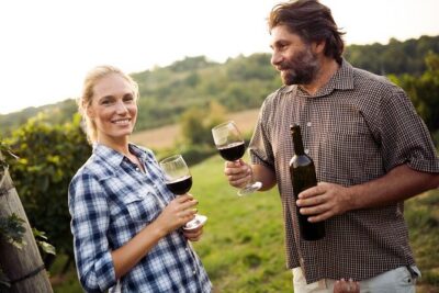 Full-Day Group Wine Tour (with cheese and charcuterie) in Niagara-on-the-Lake