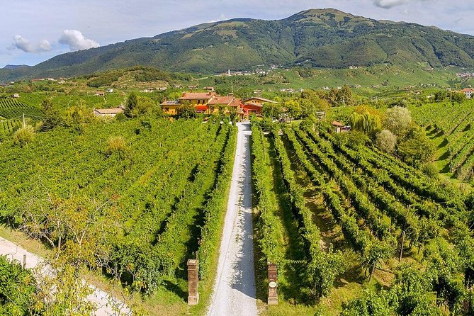 Full Day Prosecco and Cheese Tasting from Venice - What the $230 price really covers