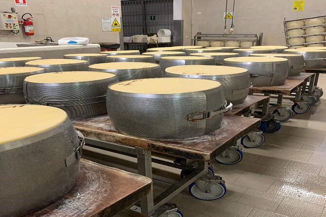 Full Day Super Cars, Parmesan, Balsamic Tour w/Light Lunch - Learning the secret of Modena’s black gold