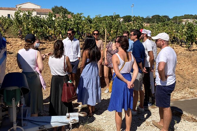 Full-Day Wine and Cheese Tour around Aix-en-Provence from Marseille - Who should book this wine day?