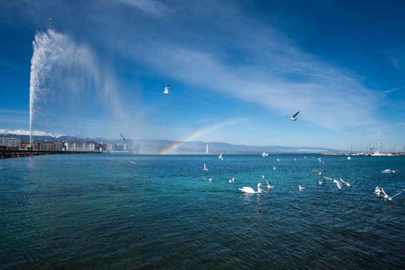 Geneva: City Tour and Fondue Cooking Class, Swiss Folklore - From Geneva bus station to the international district