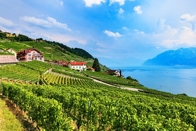 Geneva to Gruyère Private Day Trip. Cheese & Chocolate Tour - A private driver can make or break the day