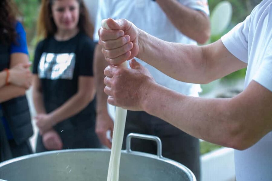 Gioia del Colle: E-Bike Ride & Hands-On Mozzarella Lab - The dairy visit turns scenery into food