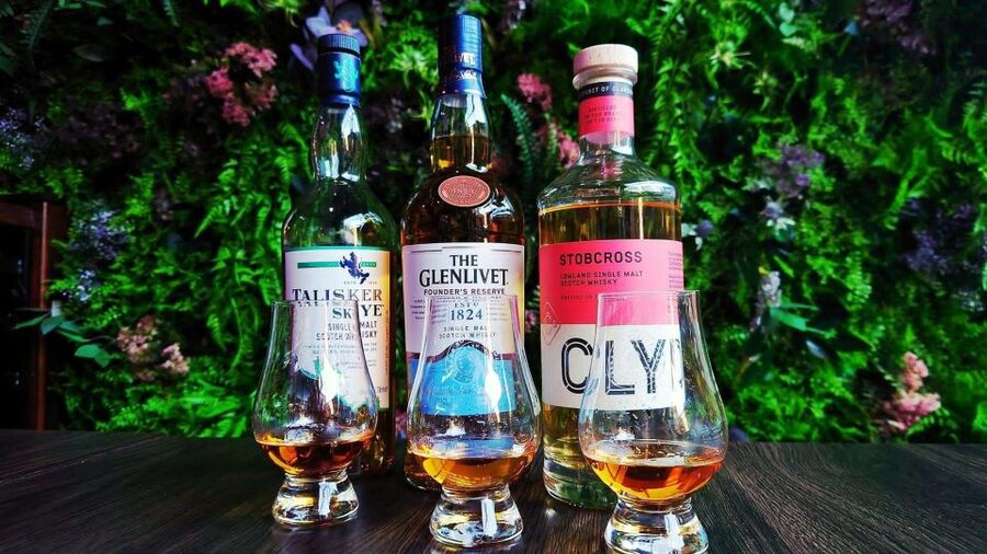 Glasgow: Whisky tasting and Scottish Cheeseboard - What happens during the one-hour visit