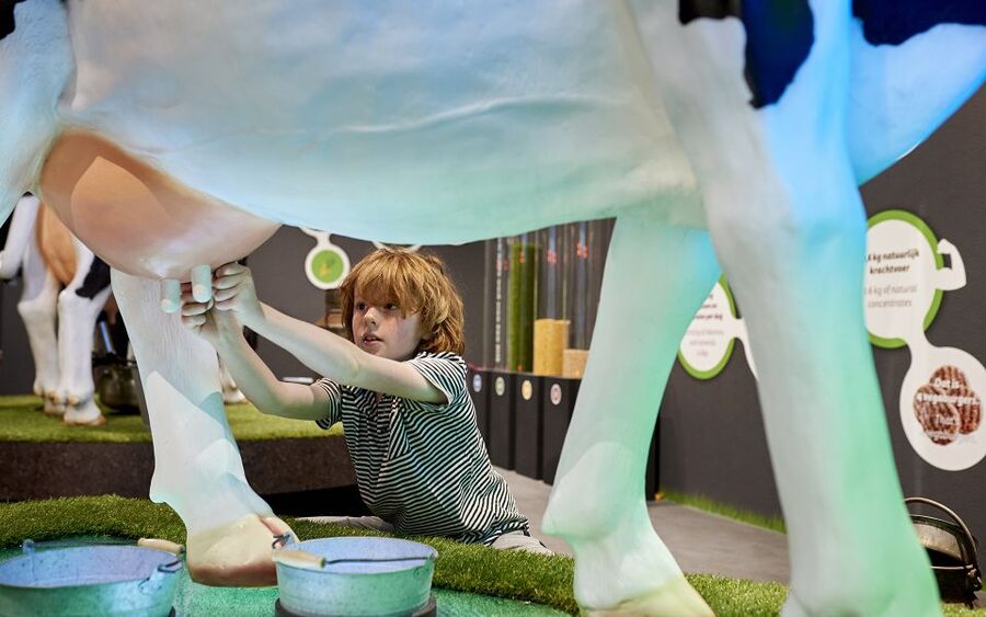Gouda: Gouda Cheese Experience Entry Ticket - Why families tend to enjoy it