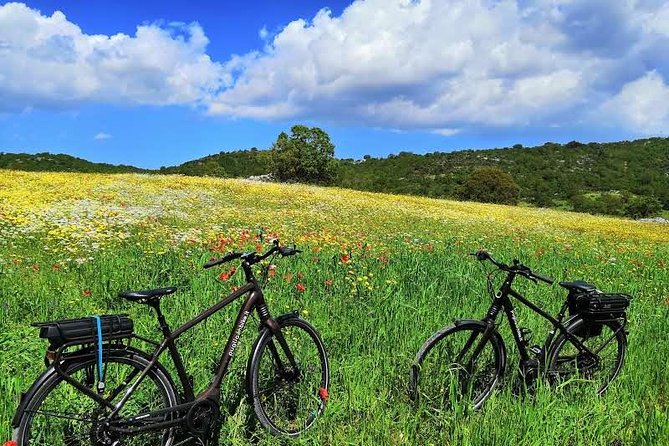 GPS self guide Alberobello and Masseria + Mozzarella and Focaccia tastings by E-bike - The Canale di Pirro and Puglia’s open country