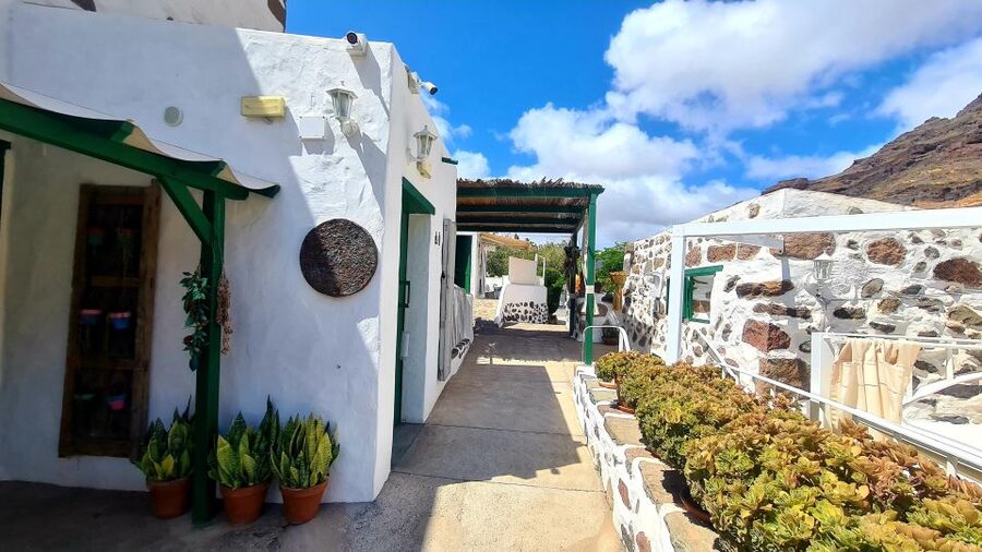 Gran Canaria: canarian rum & local cheese tasting tour - Should you book the Canarian rum and cheese tasting?