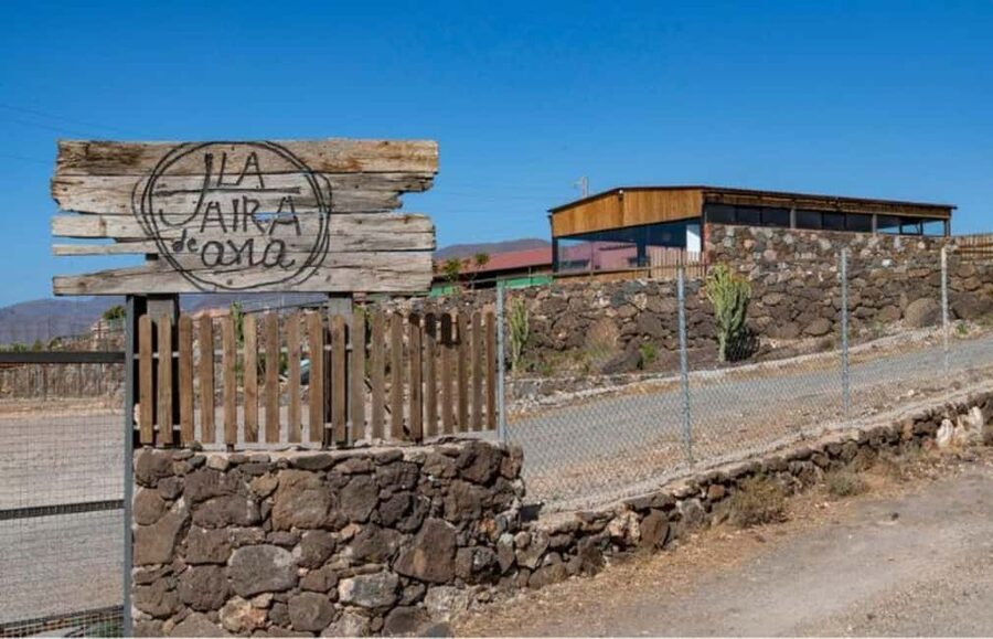 Gran Canaria: Cheese Workshop in Agüimes - From milk to curds, the working part of the class