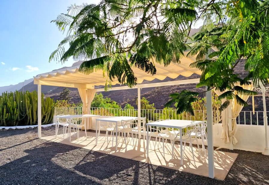 Gran Canaria: Tasting wine & local cheese in Mogan - Is $61 a fair price?