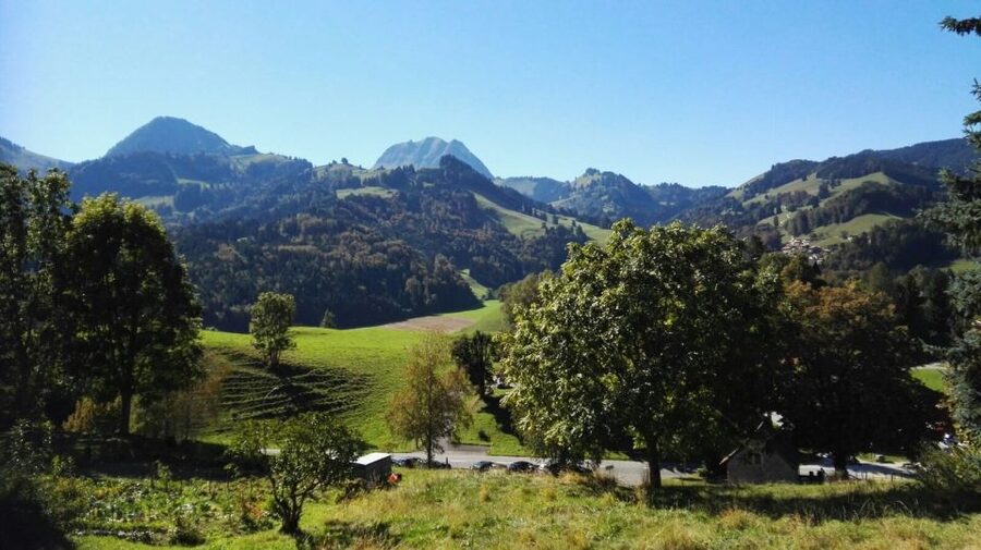 Gruyères, Cheese and Chocolate: Private Tour - Free time in medieval Gruyères