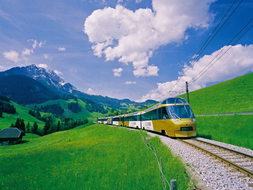 Gruyères, Cheese and Chocolate: Private Tour - Who will enjoy this day most?
