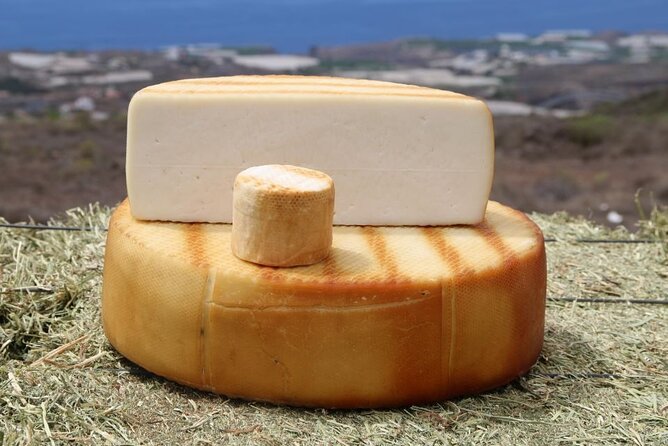 Guided Tour Montesdeoca Cheese Factory - Cheese and Wine Tasting - A working cheese farm near Adeje