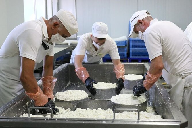 Guided Tour Montesdeoca Cheese Factory - Cheese and Wine Tasting - Who will enjoy this most?
