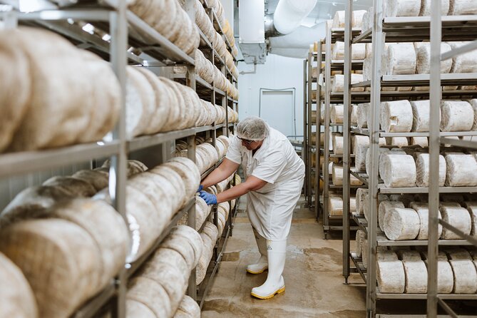Guided Tour with Cheese & Wine Pairing - Seeing cheesemaking from the viewing platforms