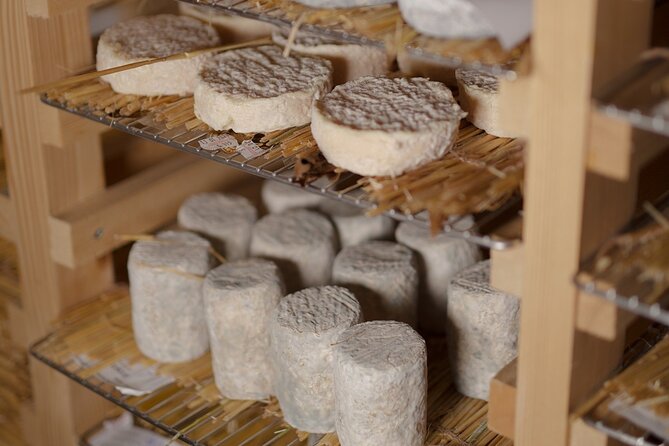 Guided visit of the Cheese Museum with Tasting Included - What happens before the tasting