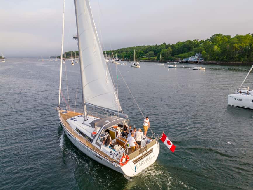 Halifax: Sunset Wine and Cheese Sailboat Cruise - Four glasses that explain Nova Scotia wine