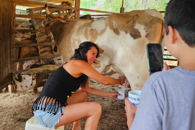 Hands-on Mexican Farm Experience: from Cow to Cheese - Preparing a horse and taking a short ride