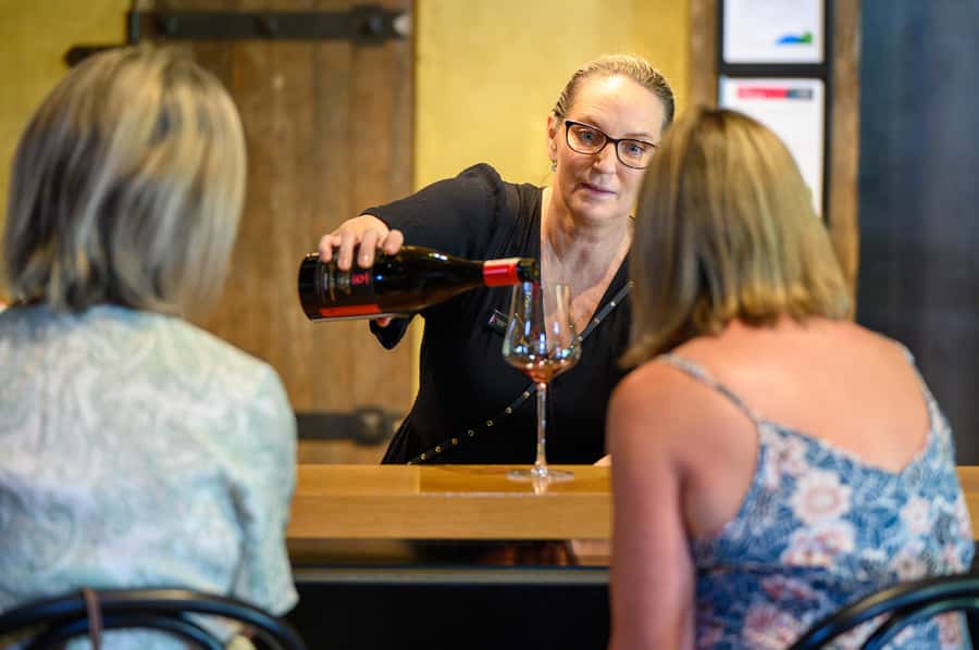 Hawkes Bay: Half-Day Wine Tour with Tastings and Cheeseboard - A half-day introduction to Hawke’s Bay wine