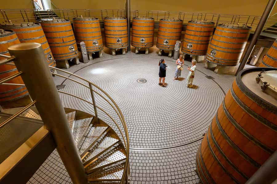 Hawkes Bay: Half-Day Wine Tour with Tastings and Cheeseboard - The cheeseboard and the value of a food break