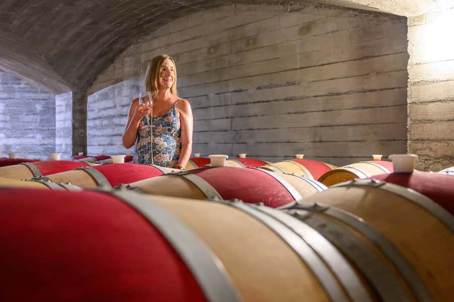 Hawkes Bay: Half-Day Wine Tour with Tastings and Cheeseboard - Havelock North and the variety of the route