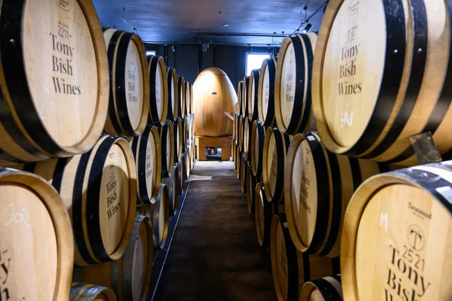 Hawkes Bay: Half-Day Wine Tour with Tastings and Cheeseboard - Who should book this Hawke’s Bay tour