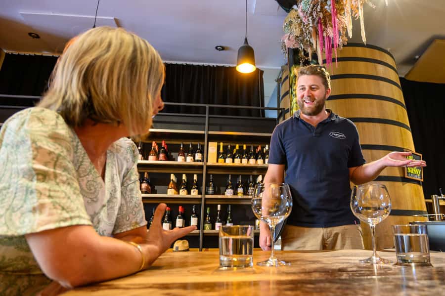 Hawkes Bay: Half-Day Wine Tour with Tastings and Cheeseboard - Starting from four Napier pickup points