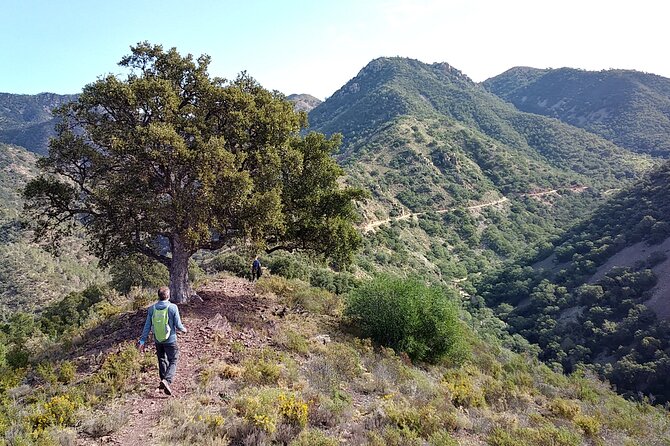 Hike the Cork Oak trail and try some Delicious Cheese - From Valencia’s Serranos Towers to Almedíjar