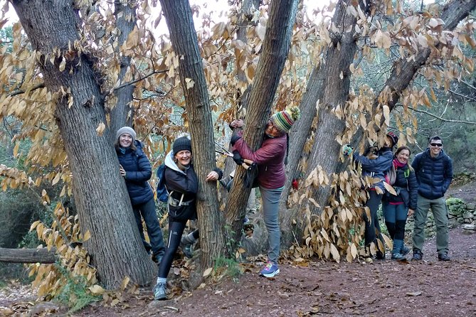 Hike the Cork Oak trail and try some Delicious Cheese - The abandoned cork factory adds a human story