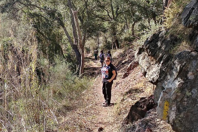 Hike the Cork Oak trail and try some Delicious Cheese - Views, descent, and a more relaxed finish