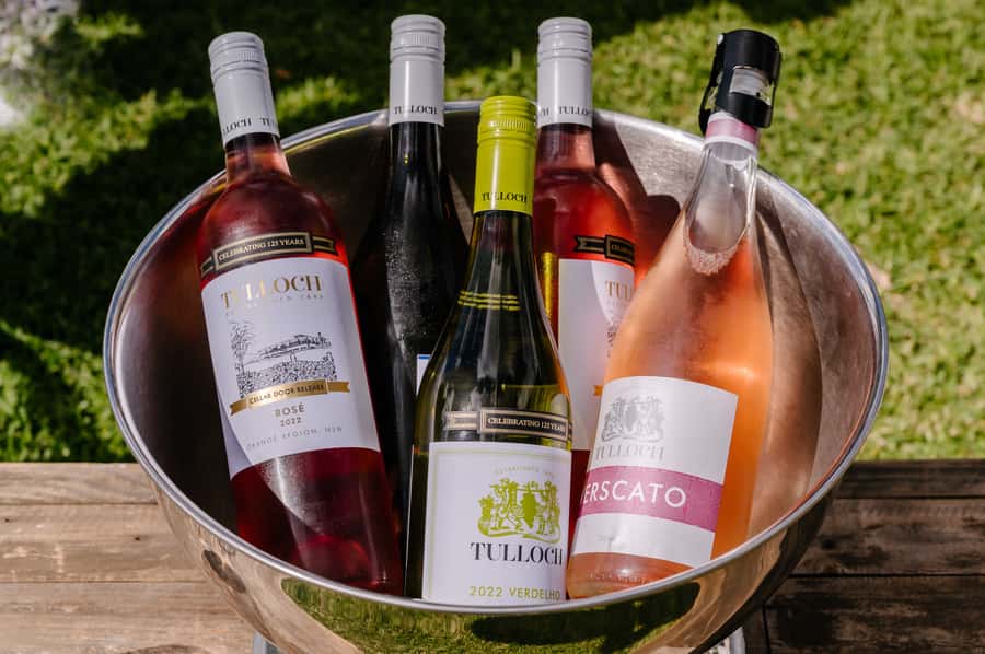 Hunter Valley: Tulloch Wines Mystery Wine & Cheese Tasting - What the experience teaches you about Tulloch Wines