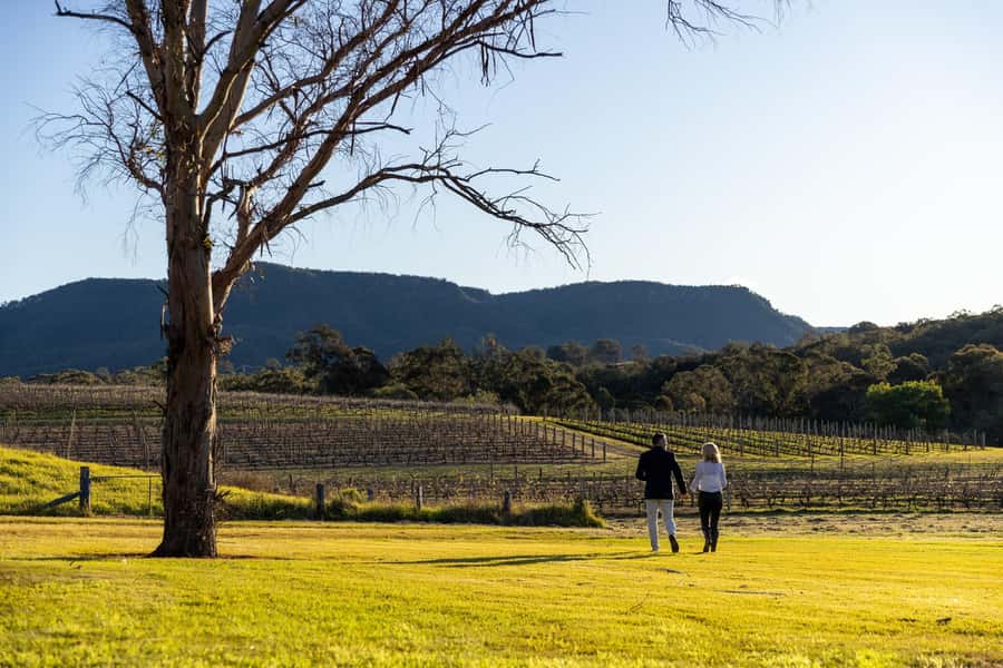 Hunter Valley: Wine and Cheese Tasting - Should You Book Pooles Rock Wine and Cheese Tasting?