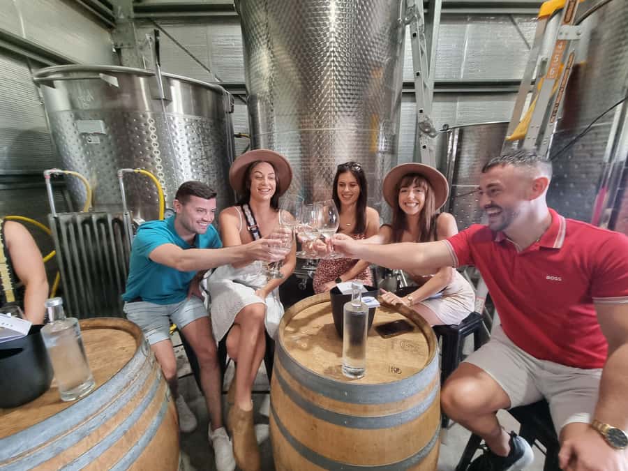 Hunter Valley: Wine, Gin, Cheese and Chocolate Tour - A final tasting with beer and wine